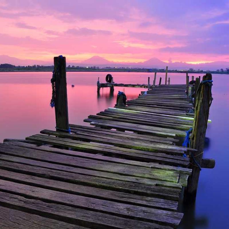 Reduced demand-driven moratorium (FR)