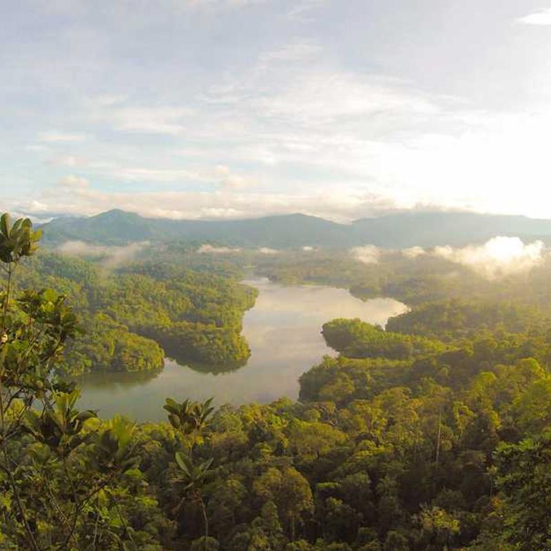 Synergistic neutral leverage (FR)