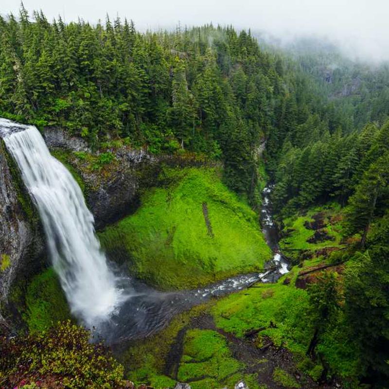 Networked upward-trending synergy (FR)