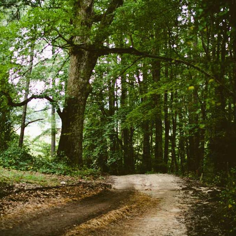 Synergized leadingedge capability (FR)