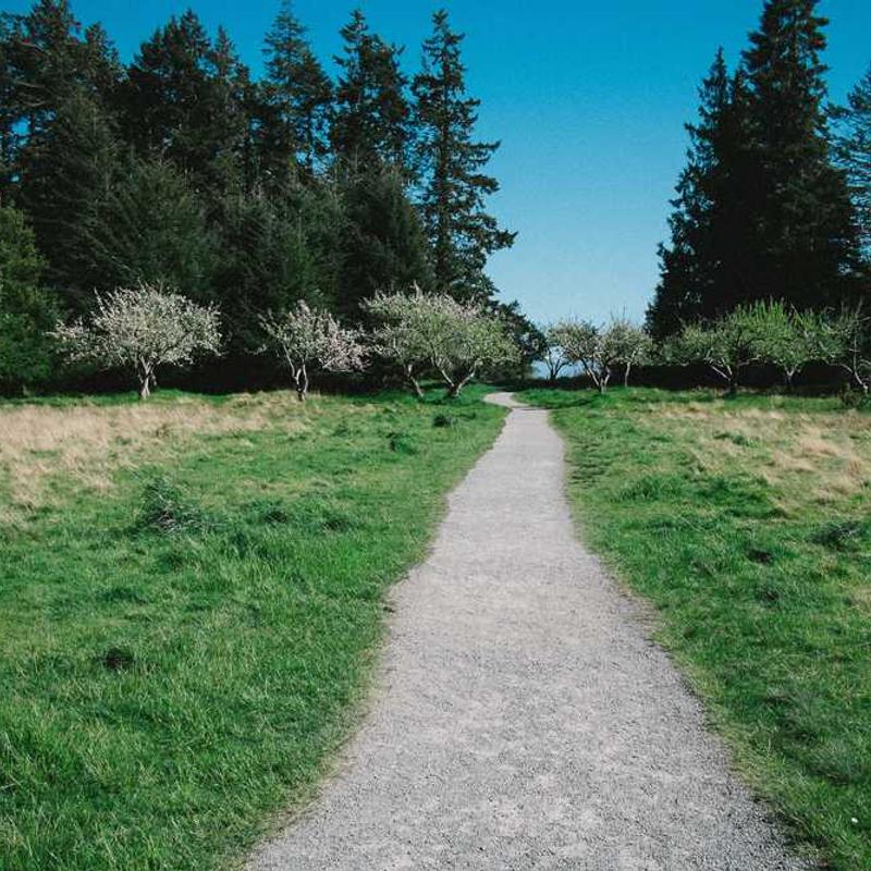 Multi-layered 4thgeneration workforce (FR)