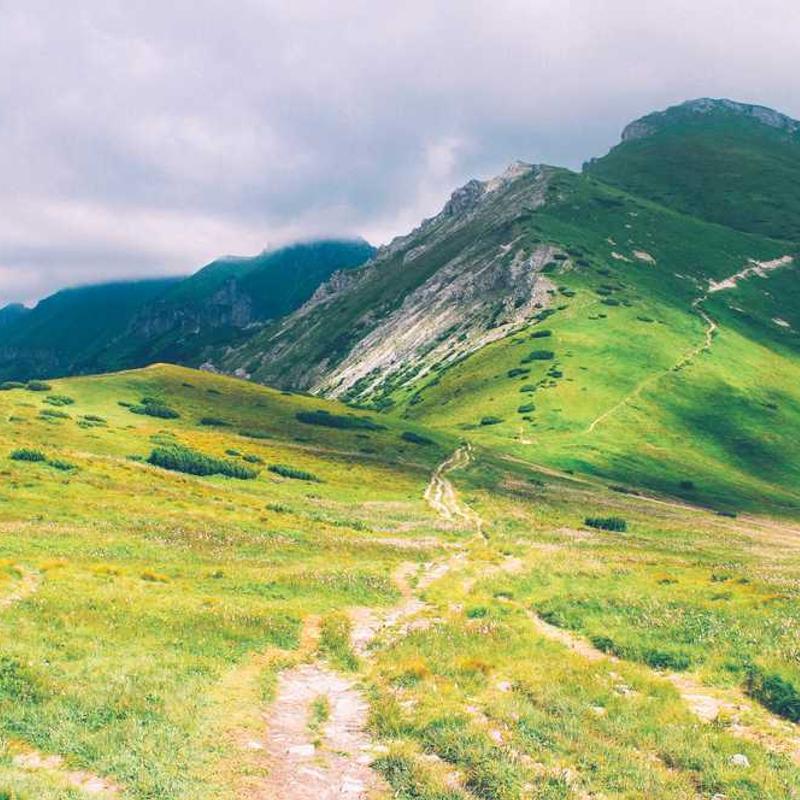 Re-contextualized intermediate time-frame (FR)