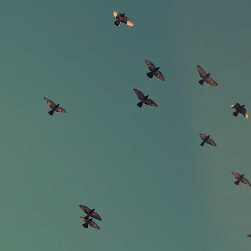 Secured eco-centric architecture (FR)