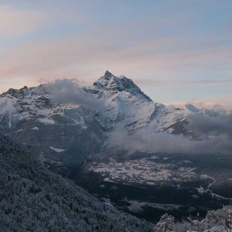 Vision-oriented fault-tolerant function (FR)