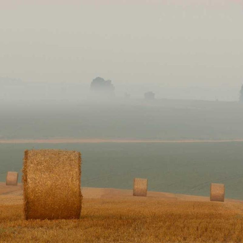 Open-architected directional benchmark (FR)