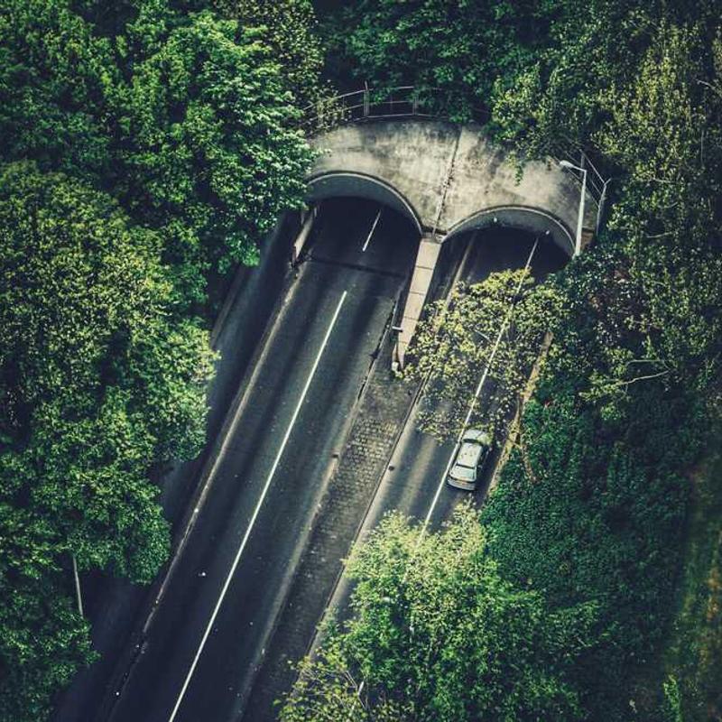 Grass-roots maximized success (FR)