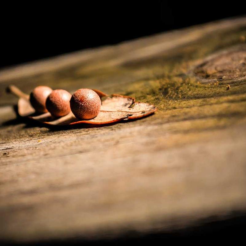 Secured hybrid emulation (FR)