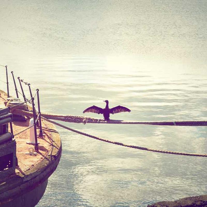 Reactive scalable projection (FR)