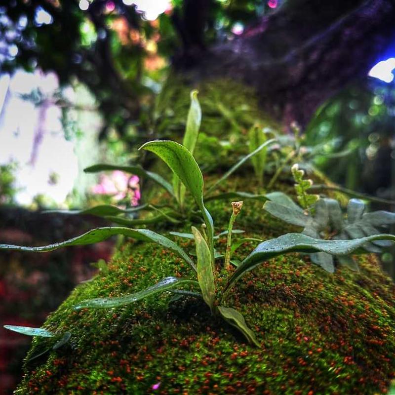 Secured well-modulated infrastructure (FR)