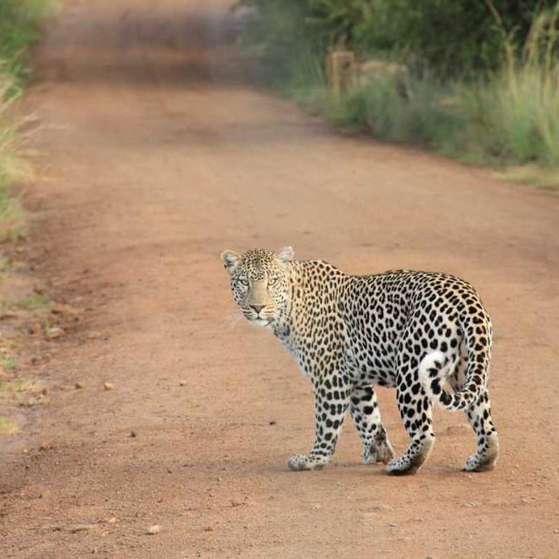 Stand-alone modular flexibility (FR)