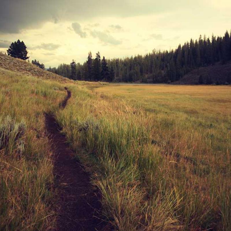 Persevering cohesive infrastructure (FR)