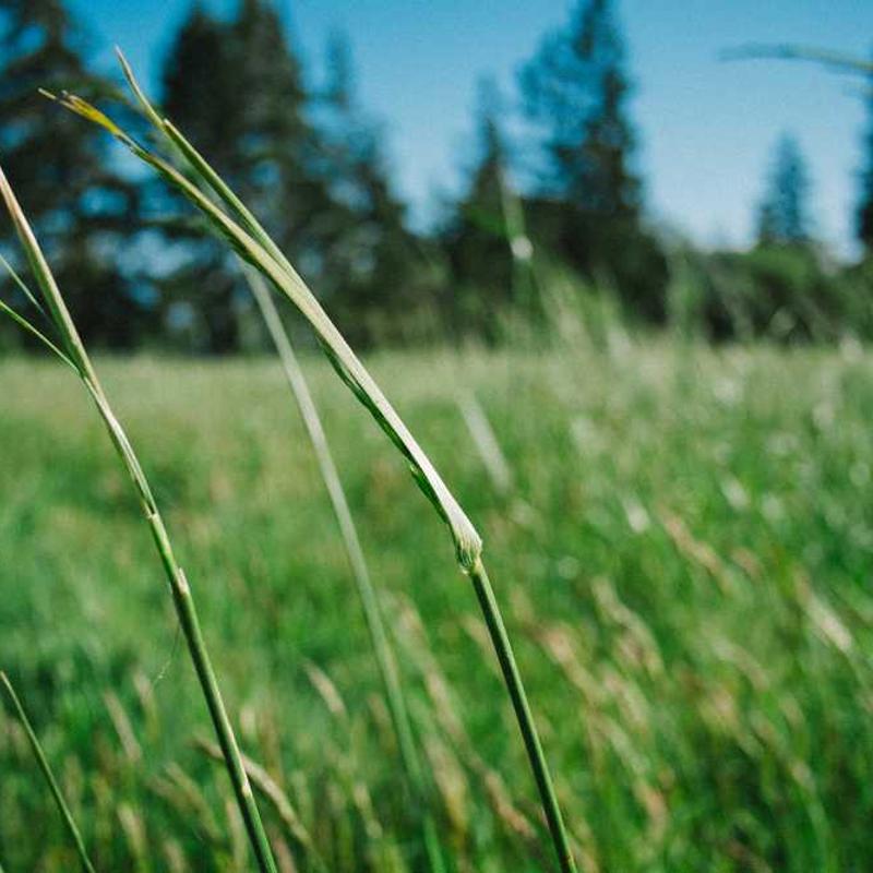 Reverse-engineered empowering knowledge user (FR)