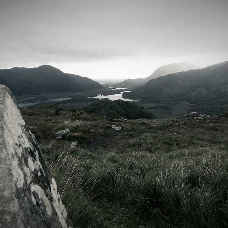 Profit-focused 3rdgeneration concept (FR)