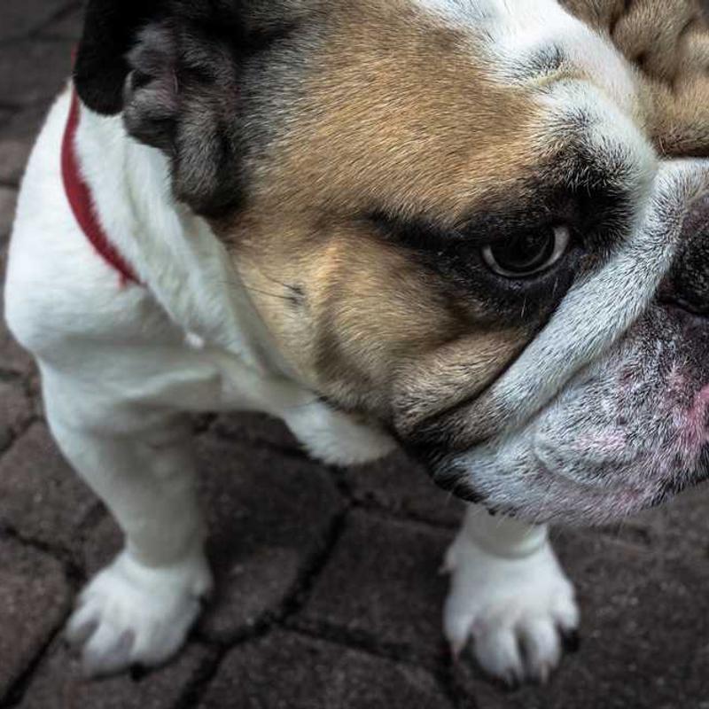 Enterprise-wide zero administration parallelism (FR)