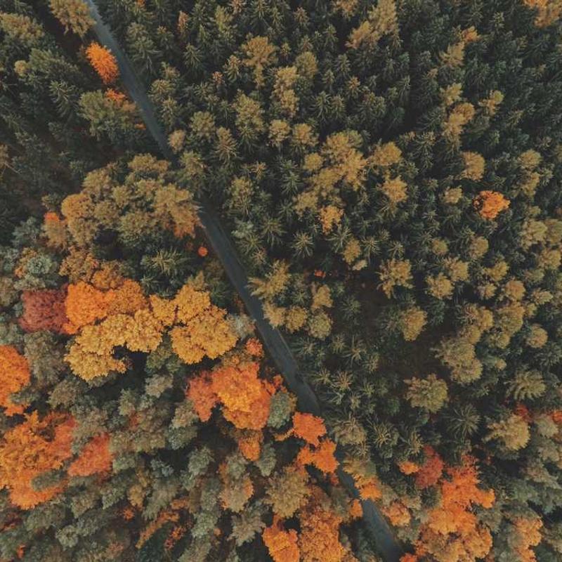 Universal modular matrix (FR)