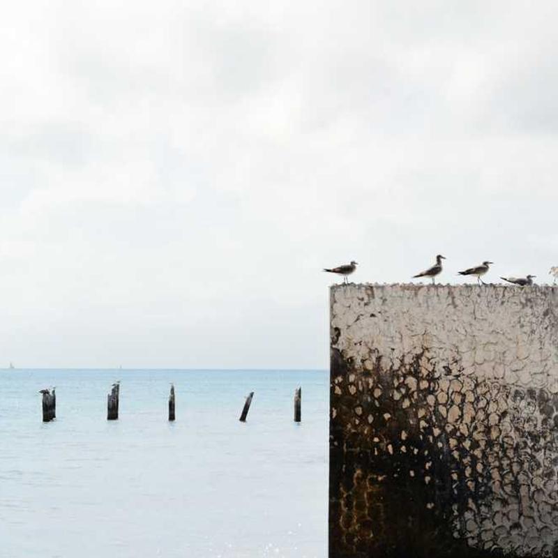 Synergistic cohesive time-frame (FR)