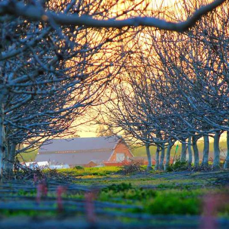 Secured coherent methodology (FR)