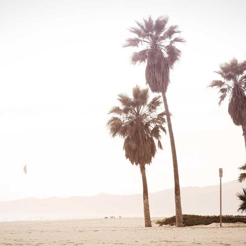 Integrated content-based paradigm (FR)